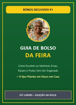 Bônus Guia da Feira