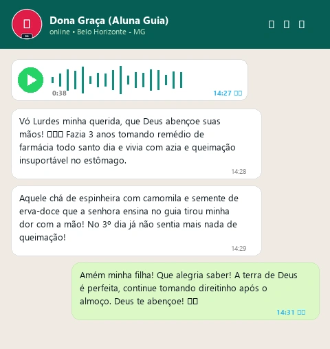 WhatsApp Dona Graça