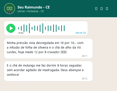 WhatsApp Seu Raimundo